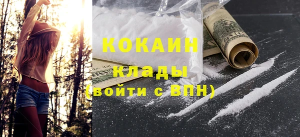 индика Кукмор