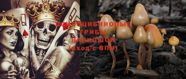 индика Кукмор