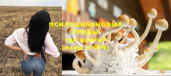 альфа пвп Куйбышев