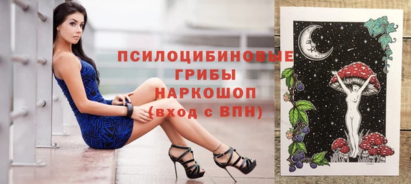 индика Кукмор