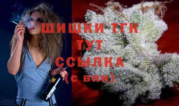 индика Кукмор