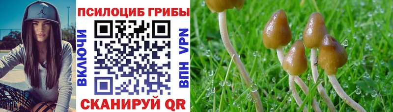 Псилоцибиновые грибы MAGIC MUSHROOMS  Купить закладки  Мураши 
