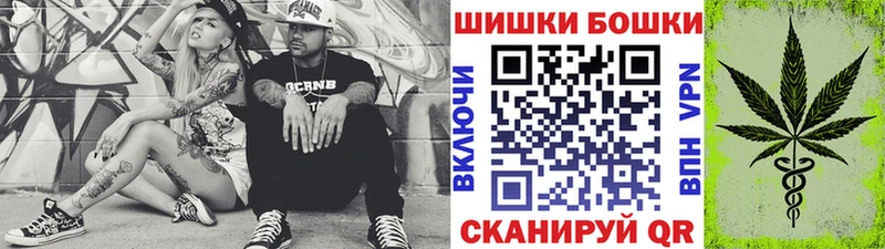 Шишки марихуана OG Kush  Купить  Мураши 